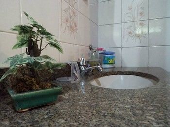 Pousada Canoa Da Praia アングラドスレイス エクステリア 写真